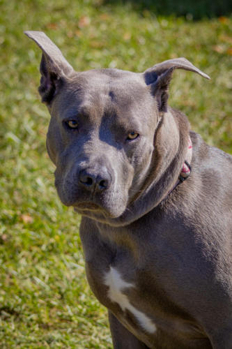 IMG 9871-Enhanced-SR