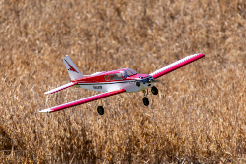 IMG 9911-Enhanced-SR