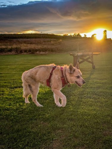 PXL 20251023 215234761-2