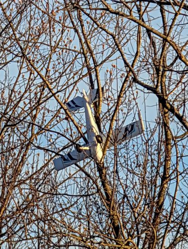 PXL 20251220 205308694