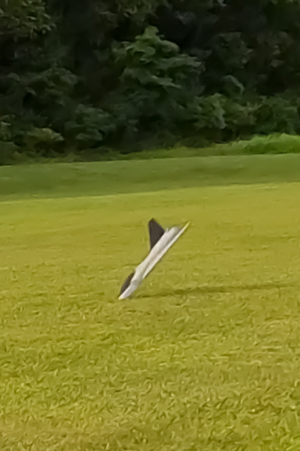 Sequence-01.00 10 00 18.Still007